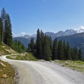 gerloser wiesenweg und aussicht richtung zillertaler alpen ober gerlos