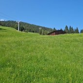 gerlos reisch wiesen bei roesslalm