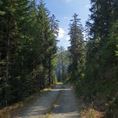 weg zum heisinger wald