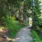 weg von koppeneck nach maria waldrast