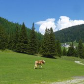 blick richtung maria waldrast ab ochsenalm