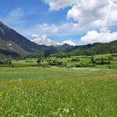 wiesen im gurgltal bei dormitz