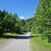 uferweg aschauer ache radroute