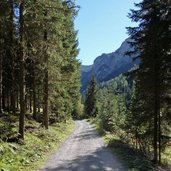 weg im winkler tal bei kartitsch herbst