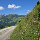 aschauer hoehenweg mtb route