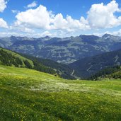 wiesen am jufenkamm oberhalb jochberg aurach dahinter kitzbueheler alpen richtung saalbach hinterglemm