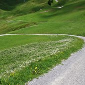 almweg pengelstein hahnenkamm hahnenfusswiese fr