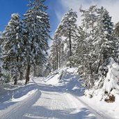 imst winterweg rodelbahn weg zur latschenhuette