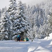 imst winterweg rodelbahn weg zur latschenhuette rodeln