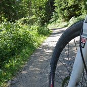 beginn forststrasse malfontal mtb route