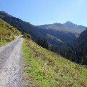 mtb route forststrasse zur hochwildalm