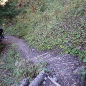 weg von weissenbachalm zur baerenbadalm treppen