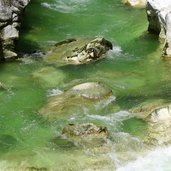 brandenberg kaiserklamm wasseramsel