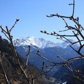 Panoramaweg Hopfgarten