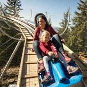 Alpine Coaster Lauser Sauser