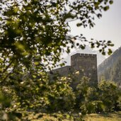 Burg Berneck