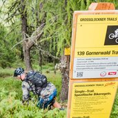 Gornerwald Trail Kals