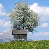 Kapelle Kupferer Hochgallzein Fruehling