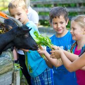 kinderprogramm in st johann