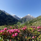 vent ortsaufnahme sommer