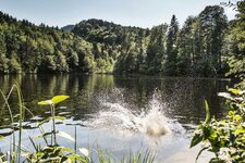 pfrillsee kufstein see natur naturbadesee baden wasser