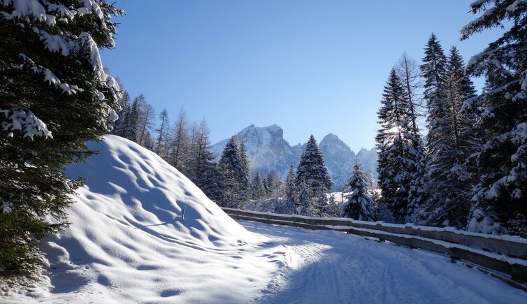 rodelbahn winter axamer talweg