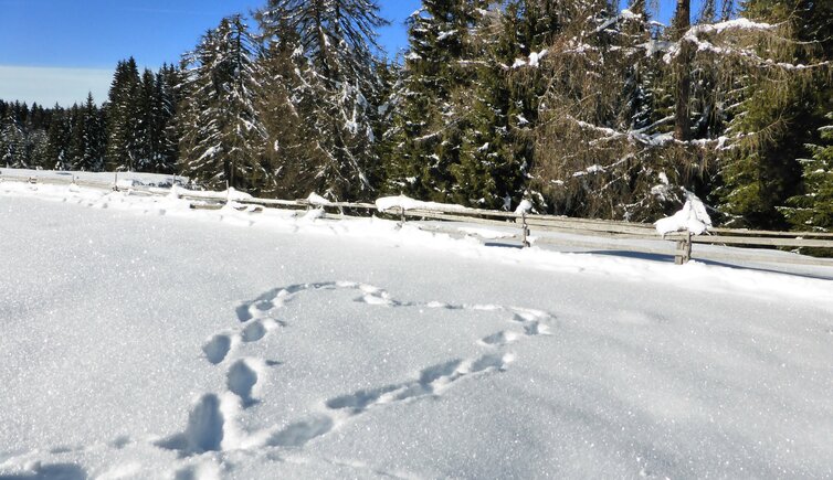 schnee herz