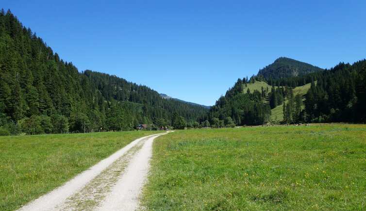 vilstal mtb route bei kalbelehof alpe