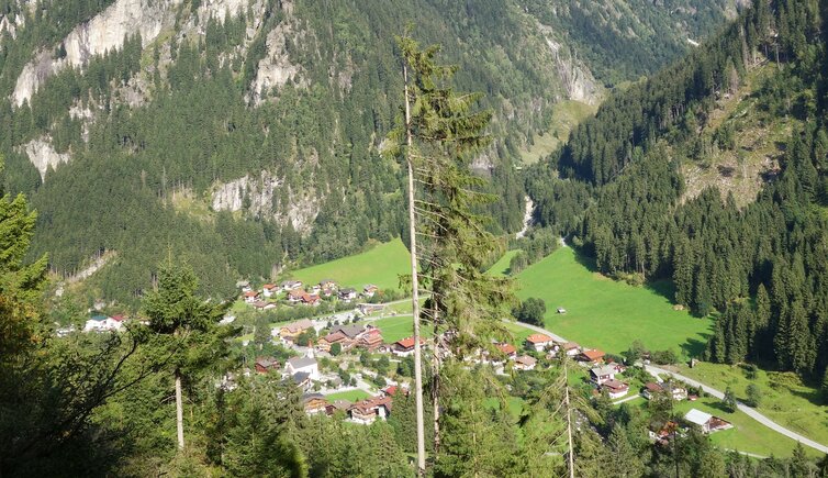 blick auf ginzling