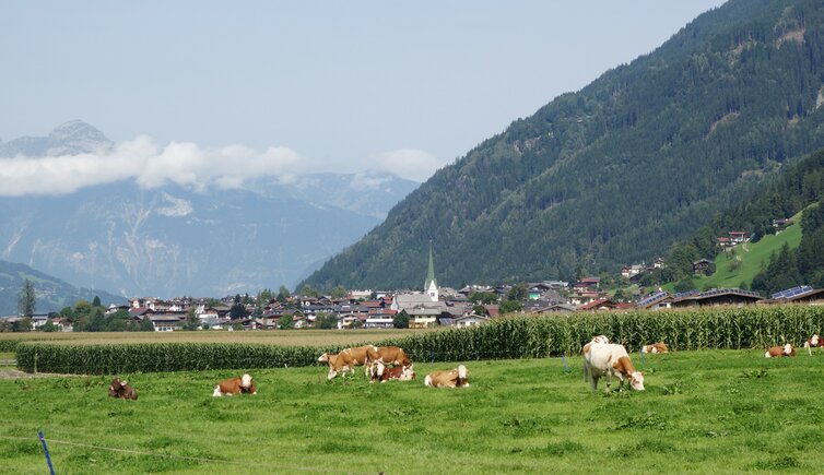 stumm im zillertal