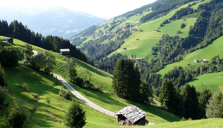 hoefe bei hainzenberg dahinter gerlosberg