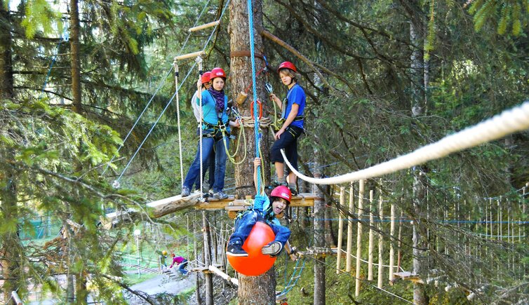 Kletterwald Bichlbach Sommer