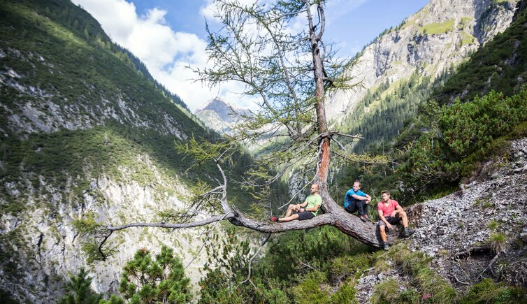 Lechtaler Alpen Zams Zams