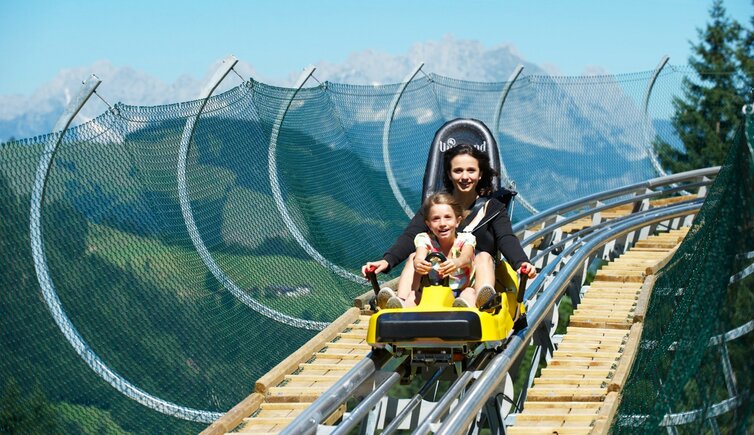 coster auf timoks alm in fieberbrunn