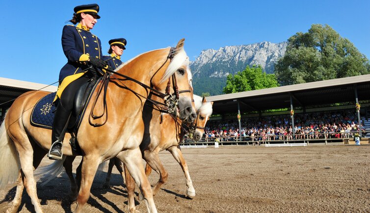 fohlenhof ebbs schauprogramm dressur