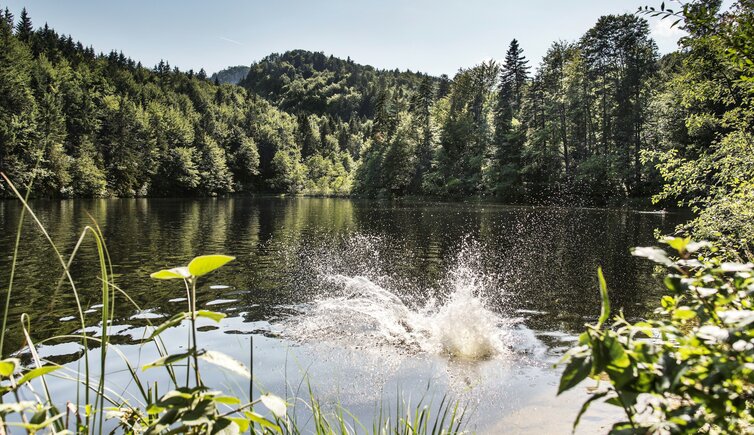 pfrillsee kufstein see natur naturbadesee baden wasser