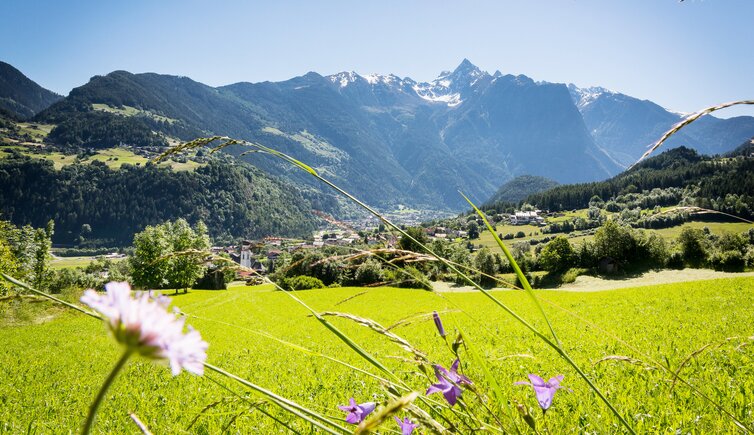 saut ortsaufnahme sommer 