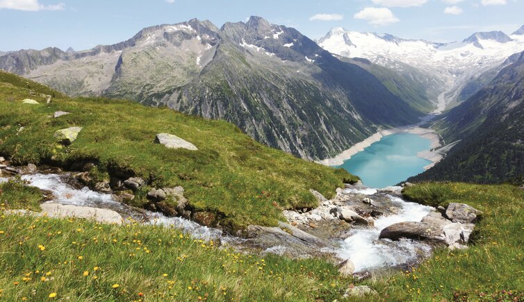 sommer landschaft schlegeis